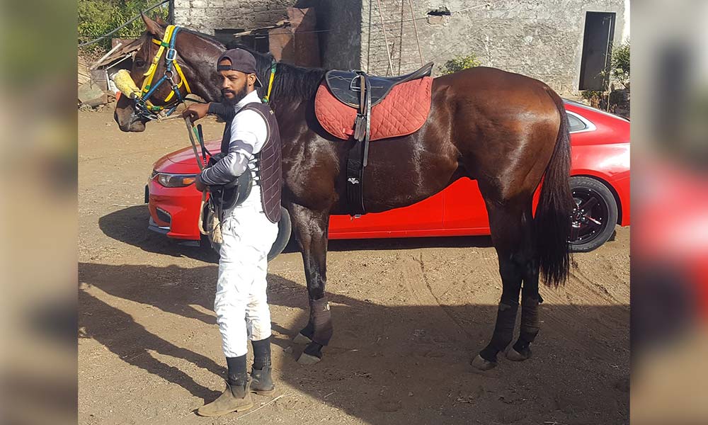 Foto de Cavalo De Corrida Vermelho Frente e mais fotos de stock de